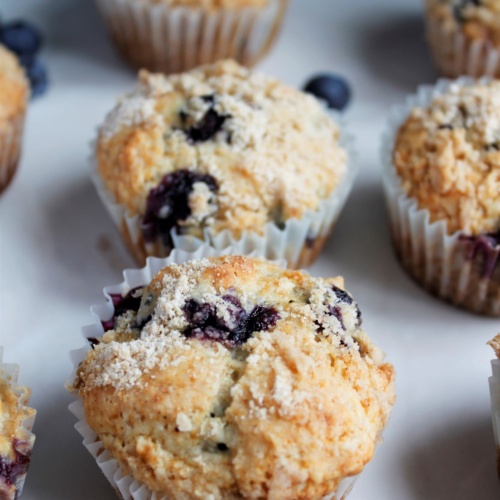 Blueberry Streusel Muffins - Pallet and Pantry