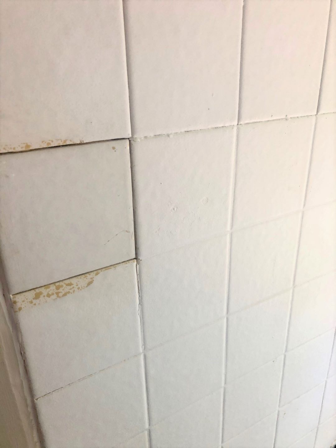 Shower Refinishing Lockhart